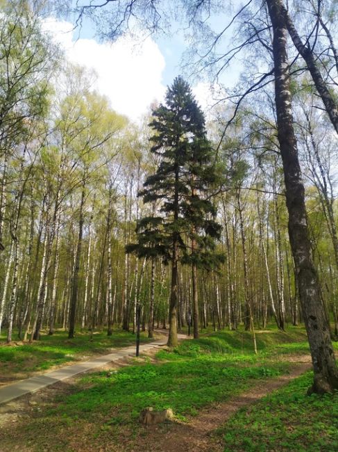 ЧТО ЗА БАРДАК НА ПРОЛЕТАРСКОЙ❓
Мкр. Железнодорожный,..