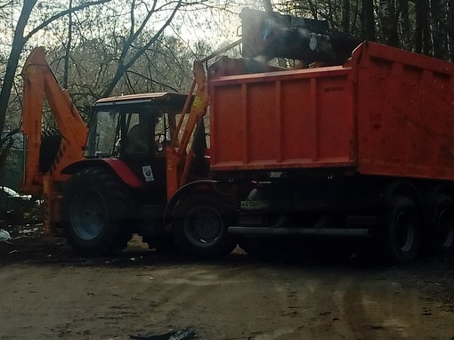 Горенский лесопарк.Убирают мусор в..