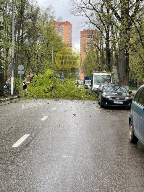 На ул.Кирова между 19 и 20 домом рухнуло большое дерево на..