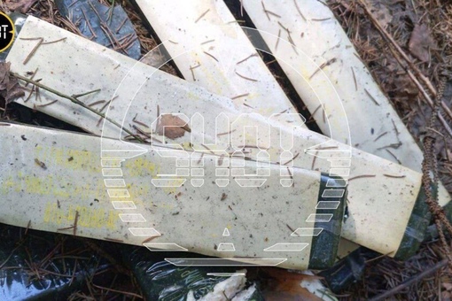 ⚡️ В Московской области нашли дрон с 17 кг. взрывчатки на борту

В..