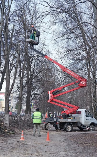 🌳 Что делать, если мешает дерево 
 
В апреле в Коломне, как и в..