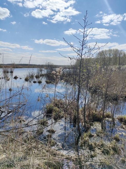 Пока весь город бурчит на марафон, пробки, управляющем и прочее  -..