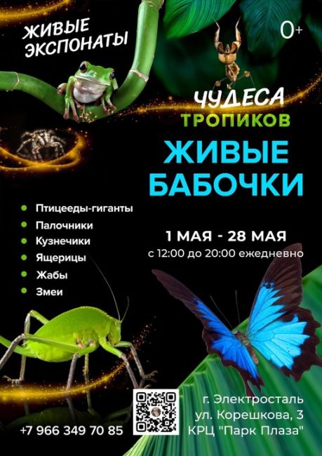 💚 РОЗЫГРЫШ БЕСПЛАТНЫХ БИЛЕТОВ! 💚

🦋 Добрый день, жители..