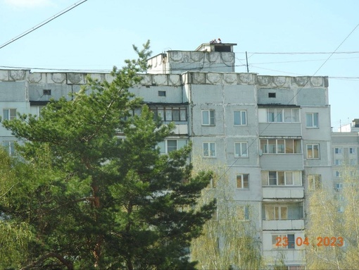 БЕССТРАШНЫЕ РОМАНТИКИ 🌹 
На Новом свете живут романтики-..