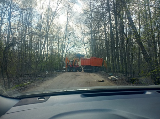 Горенский лесопарк.Убирают мусор в..