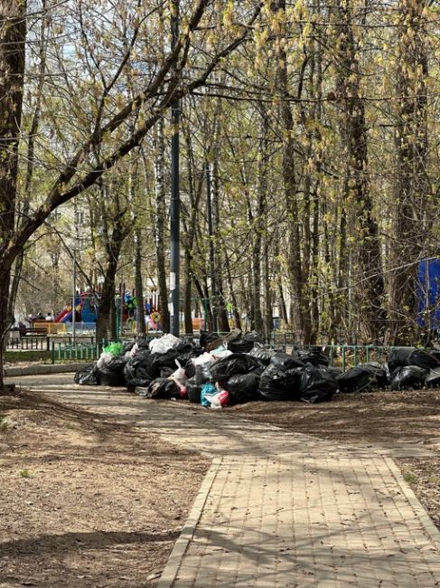 Добрый день.
Выставляли в том году проблему парка за домами по ул...