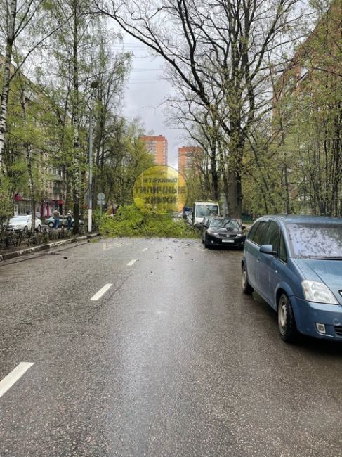 На ул.Кирова между 19 и 20 домом рухнуло большое дерево на..