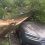 Неутешительный итог непогоды в Москве: упавшими деревьями повреждено 55 машин

И деревья продолжают падать…