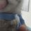 В Новороссийске спасатели освободили котенка от пластикового кольца на шее

«Первый раз у нас такое…
К нам..