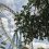 🎡 В Измайловском парке снова работает колесо обозрения.

На колесе можно подняться на высоту 50 метров…