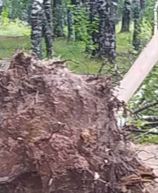 🗣️ Арзамас пострадал от ночной непогоды

Из-за сильного ветра и дождя в городе упало примерно 30 деревьев...