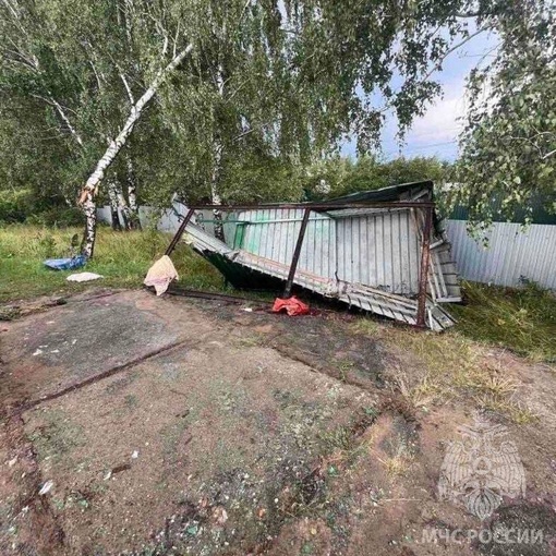 Много поваленных деревьев и других неприятных последствий непогоды
..