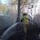 В Челябинской области возбудили 11 уголовных дел из-за лесных пожаров. По данным главного управления лесами..