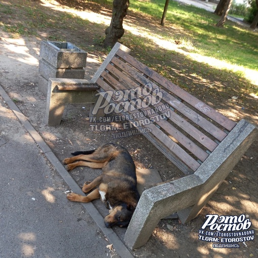 😠 «Вот такой беспредел творится на детской площадке на Туполева, 18.🎠  Все качели и горки разбиты, детям..