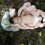 Годовалого ребёнка обнаружили на траве возле жилого дома в Москве

Мальчик без телесных повреждений лежал..