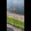 Страшное видео с Бирюлевского пруда. Здесь чуть не утонул мужчина. Очевидцы вытащили его на берег, а..