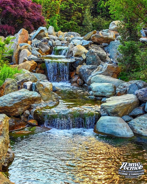 🌳🌺 Японский сад в парке Галицкого в Краснодаре. До чего же красиво!..