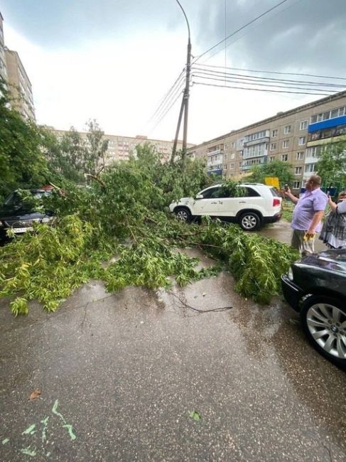 🗣️ Арзамас пострадал от ночной непогоды

Из-за сильного ветра и дождя в городе упало примерно 30 деревьев...