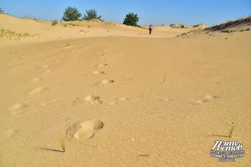 🏝Донская пустыня - уникальный природный объект Верхнедонского района  🏜

Представляет собой опустыненый..