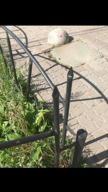 Ростовчанин поранился об «могильный» забор с металлическими пиками, которым огородили газон на перекрестке..