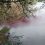 Все знают про розовое озеро в Крыму, а как вам речка в Тарасовском районе?

Правда это не естественный цвет..
