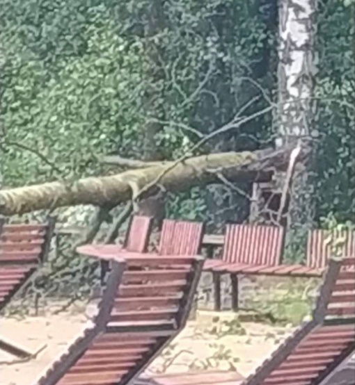 Арзамас пострадал от ночной непогоды

Из-за сильного ветра и дождя в городе упало примерно 30 деревьев. Помимо..