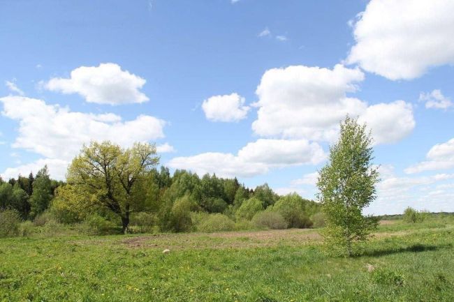 👨‍👩‍👧‍👦116 многодетных семей из Электростали получили земельные участки в 2023 году

Об этом сообщили в..