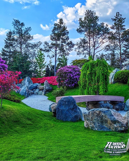 🌳🌺 Японский сад в парке Галицкого в Краснодаре. До чего же красиво!..