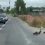 🦆 Неравнодушные автомобилисты в Кудрово остановились, что пропустить утиное..