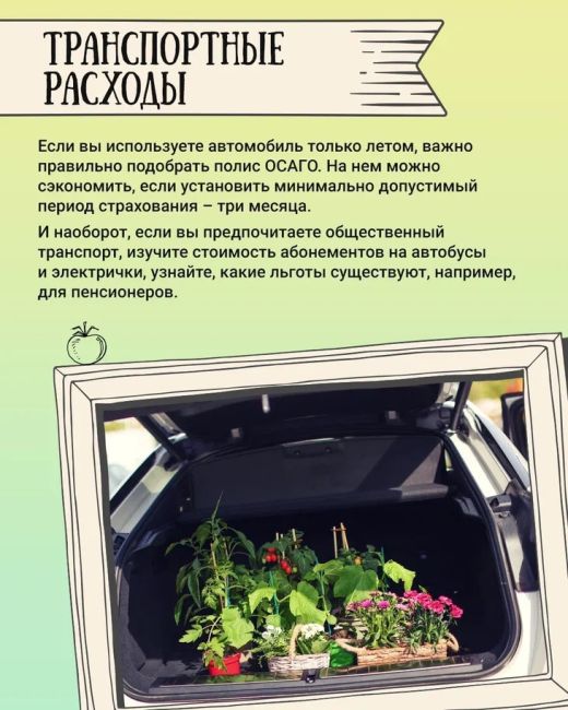 🌲Дачный сезон в самом разгаре. А это значит, что многие проводят время на свежем воздухе, едят овощи прямо с..