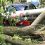 🗣️ На ул Панина, 19 дерево и столб рухнули на припвркованный автомобиль. И Даже соседний дом задело..