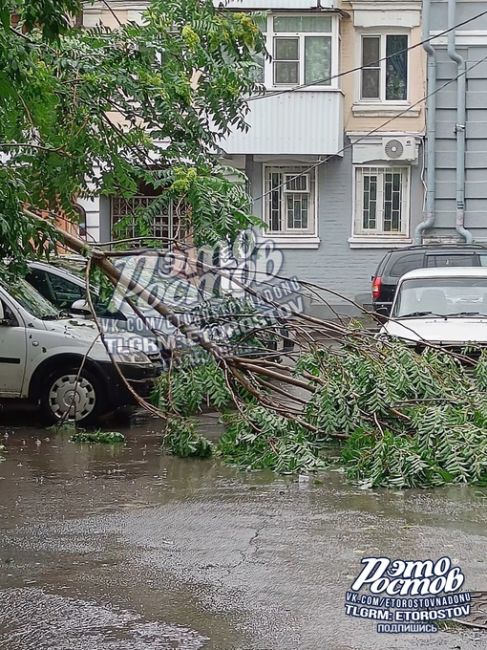 Социалистической досталось: во дворе упала ветка, а на балконе градом набило полный ящик. 🌧

⚡ Подпишись на..