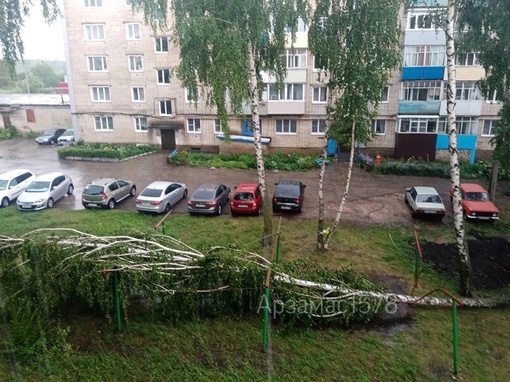 🗣️ В Арзамасском районе прямо сейчас ураганный ветер и ливень

Последствия — сорванные крыши и упавшие..