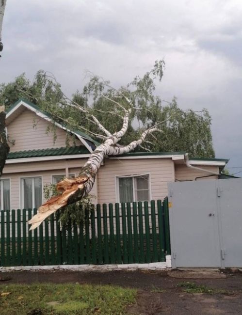 Арзамас пострадал от ночной непогоды

Из-за сильного ветра и дождя в городе упало примерно 30 деревьев. Помимо..