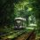 Новости сегодня в Москве: 🌳 Сказочный трамвайный тоннель у парка Сокольники

Фото: Андрей..