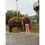 Жителей Самары разочаровала отмена купания слонов 

Они высказали свое возмущение по этому поводу в..