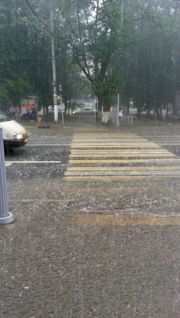 От души поливает! ☔️
Зато грибы потом..