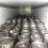🗣️ 13 .000 литров контрафактного пива изъяли в Володарском районе. 

Сотрудники ГИБДД остановили большегруз..
