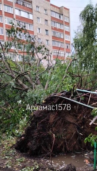 🗣️ В Арзамасском районе прямо сейчас ураганный ветер и ливень

Последствия — сорванные крыши и упавшие..