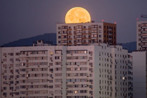 🌘Доброе утро!  Сегодня и правда было Суперлуние "Голубая Луна". в 4.00 она была голубоватая (пятое фото), а уже в..