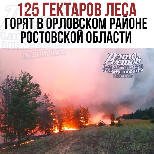 🚒🌲🌳🔥 125 гектаров леса горят в Орловском районе Ростовской области. При этом 25 га из них - это верховой..