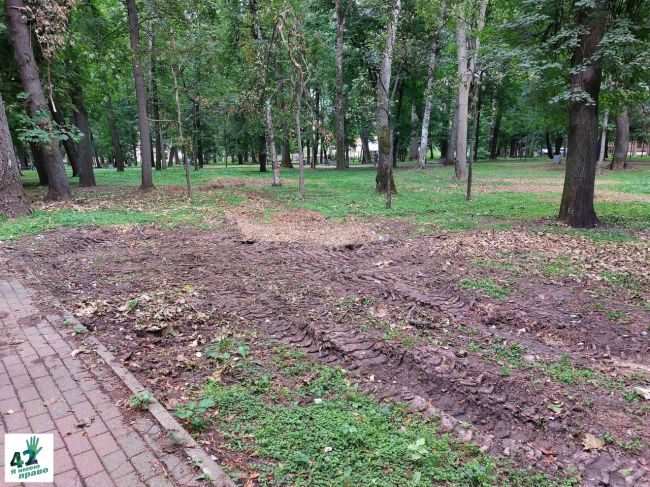 🚜🌳🧐

Продолжаем наблюдать за благоустройством в парке Кулибина.

Мы уже писали о том, что..