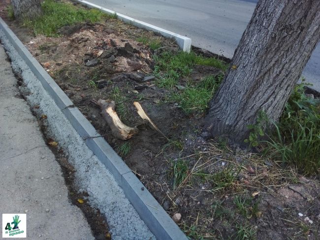 🚗🌳🪓

"Ремонт Зеленского съезда и улицы Широкой в Нижнем Новгороде завершится на следующей неделе. Об этом..