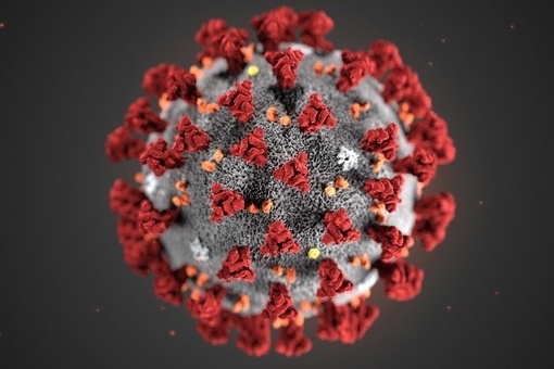 🗣️ Новая волна коронавируса может начаться в России в октябре.

В мире уже наблюдается резкий рост числа..