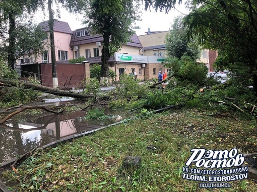 🌳В Беломорском переулке дерево рухнуло на провода и завалило столб.

🫡П.С. Спасибо всем, кто присылает..