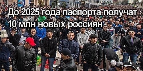 В Ленобласти орудует целая банда детей мигрантов, которые терроризируют русских детей, отнимают вещи,..