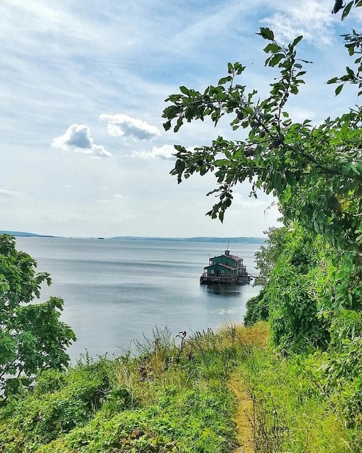 Ключищи 😍
Сюда можно добраться вплавь (шутка😏), а лучше на машине.

Координаты липовой аллеи: 55.679595,..