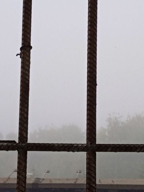 Сайлент Хилл по-Омски. 

Сегодня утром город погрузился в плотный туман.

Новости без цензуры (18+) в нашем..