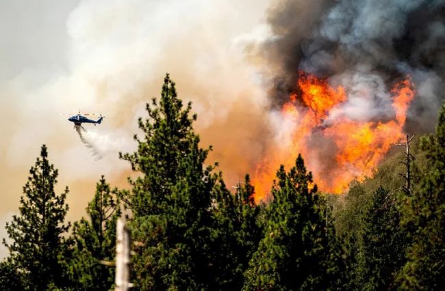 На Среднем Урале горит более 140 гектаров леса. 

В Свердловской области продолжают гореть леса. По последним..