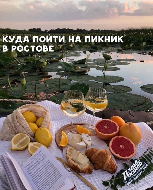 Куда сходить на пикник в Ростове..